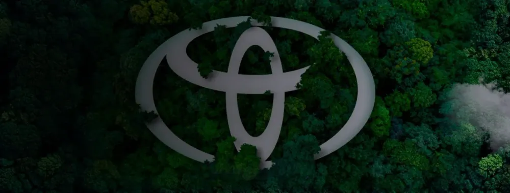 fondo
